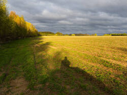 P4260004-ORF_DP.thumb.jpg.07876c7ad69b0060b5e9083dc80f9666.jpg