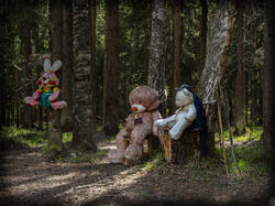P4261563-ORF_DP.thumb.jpg.9ce9a6ac3e05547c6b3d54e5822ab0f1.jpg