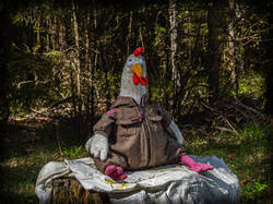P4261565-ORF_DP.thumb.jpg.cefcbfe5ba7c8ae9358d977ce734768b.jpg