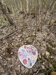image-23-04-25-17-44-21.jpeg