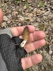 image-23-04-25-17-44-9.jpeg