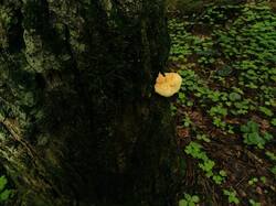 1235828040_05-25-(10).thumb.jpg.c9738fc757b3a84ea9df4b03594bf0f4.jpg