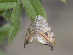 1400_DSC2984.thumb.jpg.cd3141de8af2b5a24e59cd4f4bfaa95c.jpg