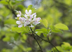 1400_DSC3424.thumb.jpg.3bd57bc459e29c5166e9a1b361d6701c.jpg