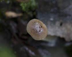 1400_DSC3483.thumb.jpg.d3e7c8bdd1a339b2e9f65f5c3d0031b3.jpg