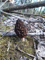 20250504_105251.jpg