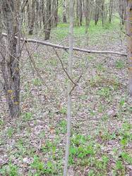 20250510_122110.jpg