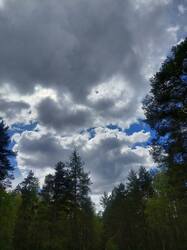 20250510_133657.thumb.jpg.4f5f2f0a19bde9253ce23469b28f82b3.jpg