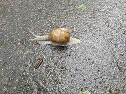 561761695_05-25-(2).thumb.jpg.e4f7a3ce58f48bad44c58e735f0e3e26.jpg