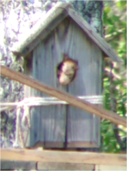 694265128_2025-05-28120127.thumb.png.f90b19288af9b30c2d58a43343b21e6b.png