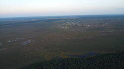 DJI_0593.thumb.JPG.237d2f1505e5fb986892d5b2abd6d854.JPG