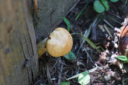 DSC05765.jpg