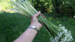 DSC07337.thumb.JPG.219fa0311e43cb51834c59103f187f26.JPG