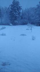 IMG-20250502-WA0000.jpeg