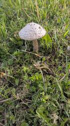 IMG-20250509-WA0007.jpg