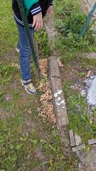 IMG-20250509-WA0009.jpg