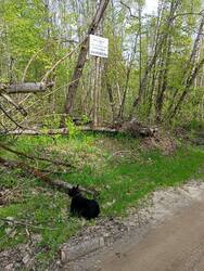 IMG-20250511-WA0004.thumb.jpg.351d63da3b76f116b6b00d01e48b75fd.jpg
