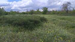 IMG-20250513-WA0004.thumb.jpeg.a5c94065ff981bb5b2b65e991a64a445.jpeg