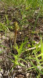 IMG-20250515-WA0018.jpeg