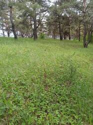 IMG-20250518-WA0001.jpg