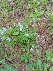 IMG-20250518-WA0003.jpg