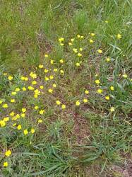 IMG-20250518-WA0004.jpg