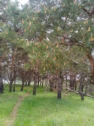 IMG-20250518-WA0005.jpg