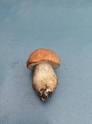 IMG-20250519-WA0011.jpg