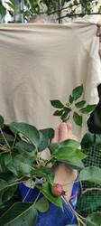 IMG-20250520-WA0045.thumb.jpg.c969fc9652d634a28b8dfd31fd79f0f3.jpg