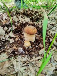 IMG-20250523-WA0036.jpg
