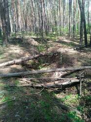 IMG-20250525-WA0000.jpg