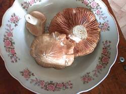 IMG00081.jpg