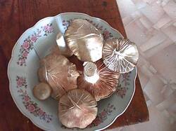 IMG00083.jpg
