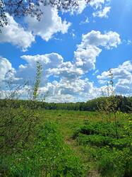 IMG20250521105425.jpg