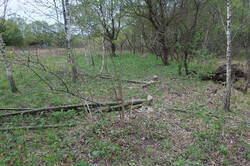 IMG_1019.JPG