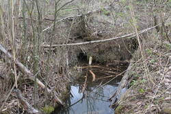 IMG_1040.JPG