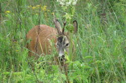 IMG_1953.JPG