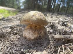 IMG_1979.jpeg