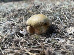 IMG_1981.jpeg