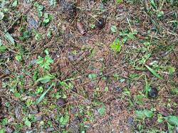 IMG_20250501_071635.jpg