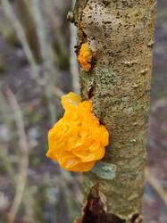 IMG_20250501_073257.jpg