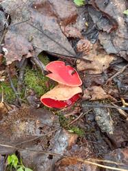 IMG_20250501_080710.jpg