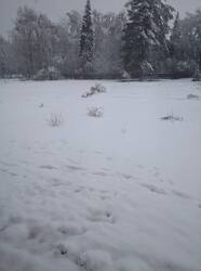 IMG_20250502_082437.jpg