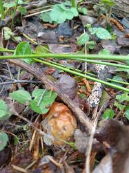 IMG_20250502_155430.jpg