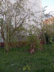 IMG_20250502_195639.jpg