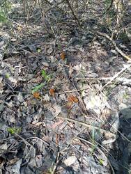 IMG_20250503_105303.jpg