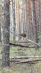 IMG_20250503_185242.jpg