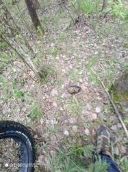 IMG_20250504_142538_988.jpg