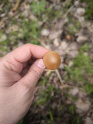 IMG_20250508_141136.jpg