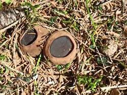 IMG_20250509_102123.jpg
